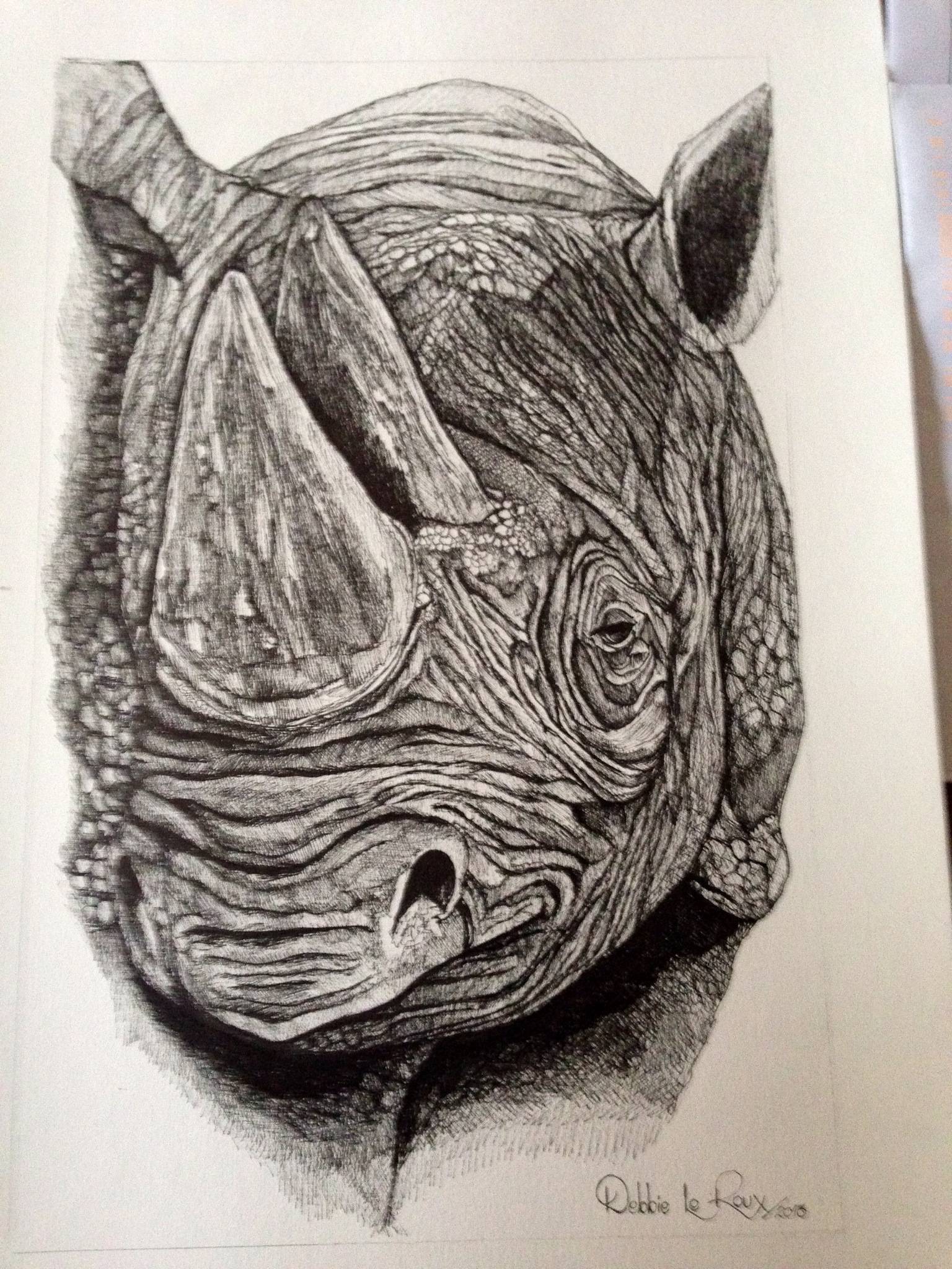 1536x2048 Drawing Fight For Rhinos