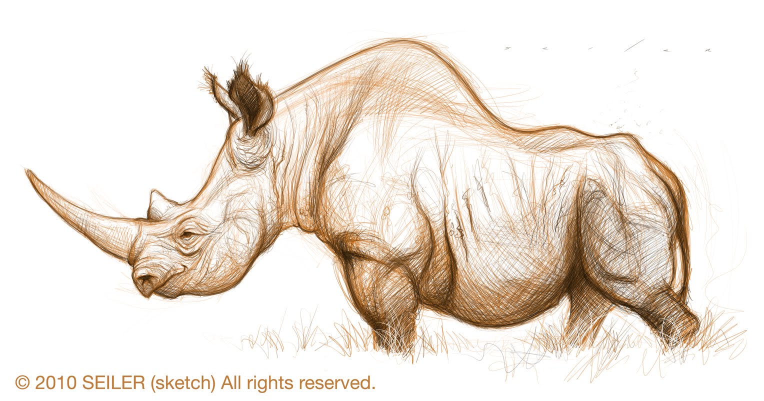 1528x802 Rhino Sketches