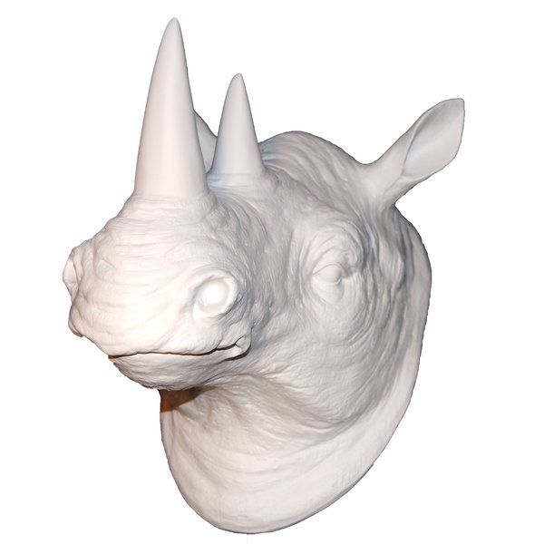 600x600 Near And Deer Faux Taxidermy Rhino Head Wall Amp Reviews Wayfair