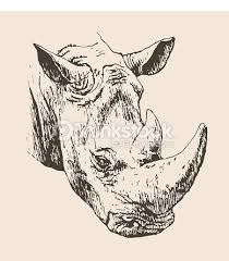 210x240 Rhino Head Drawing Outline Ile Ilgili Sonucu Tattoo