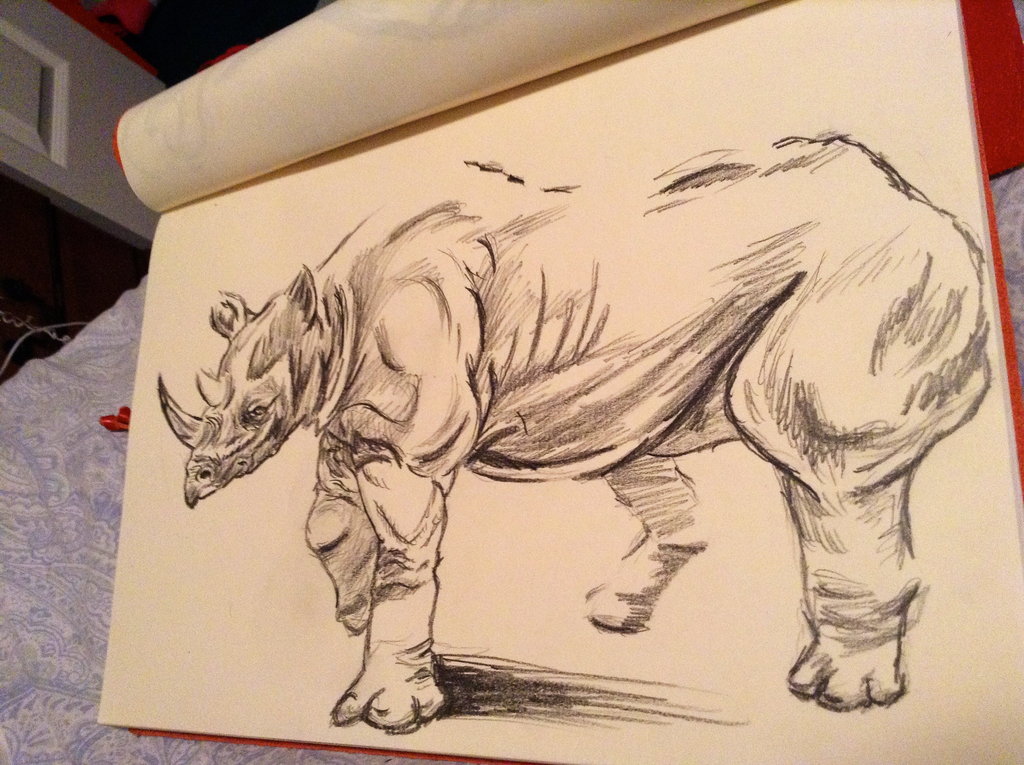 1024x765 Rhino Pencil Drawing By Dreadreaart