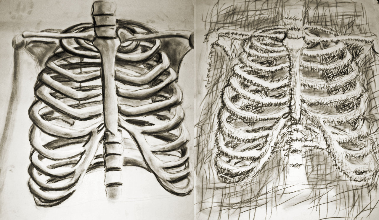 1280x745 Ribcage 2 By Zarkidtk