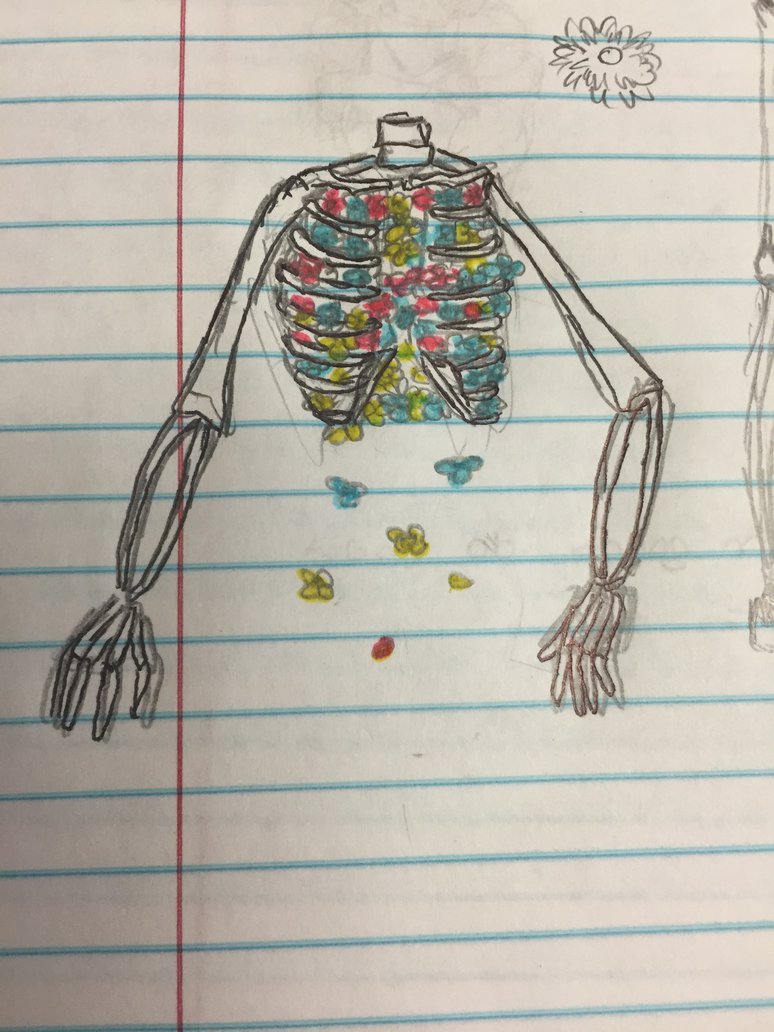 774x1032 Aesthetic Rib Cage By Beeside