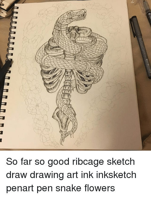 500x654 So Far So Good Ribcage Sketch Draw Drawing Art Ink Inksketch