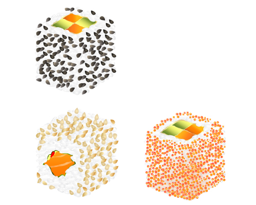 500x400 Illustrator Tutorial Japanese Sushi