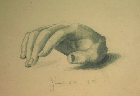 480x329 Untitled (Anatomical Drawing Of A Right Hand) Mowa Online Archive