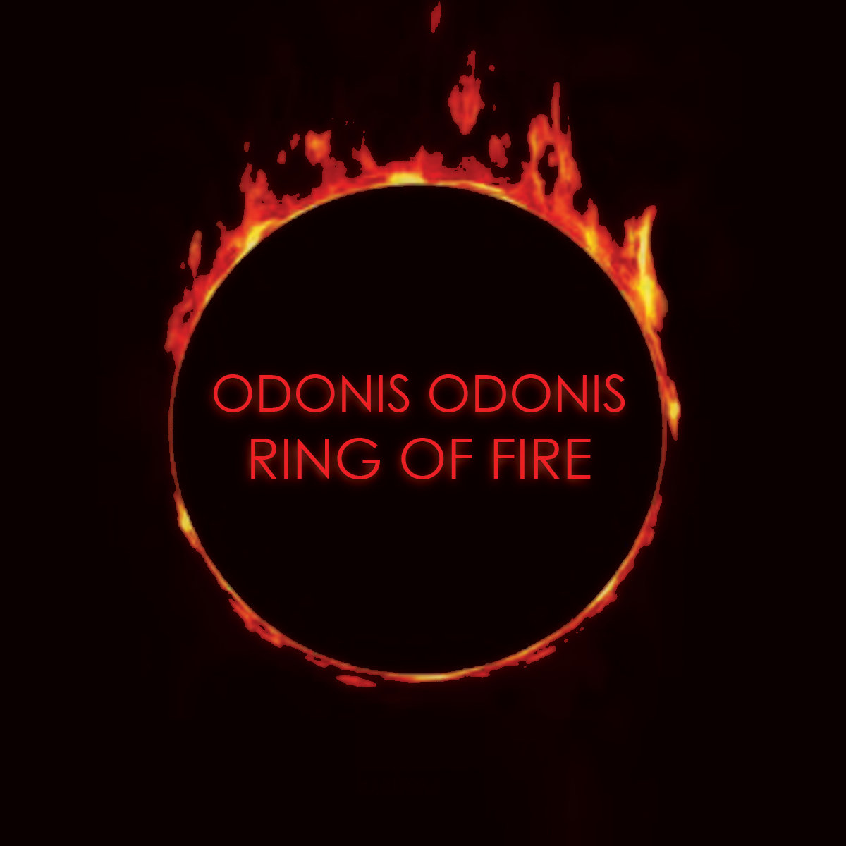 1200x1200 Who Covered Ring Of Fire