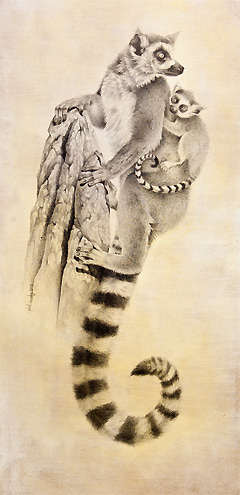 240x495 Ring Tailed Lemurs Bird Drawing By Bird Artist Phil Mumby