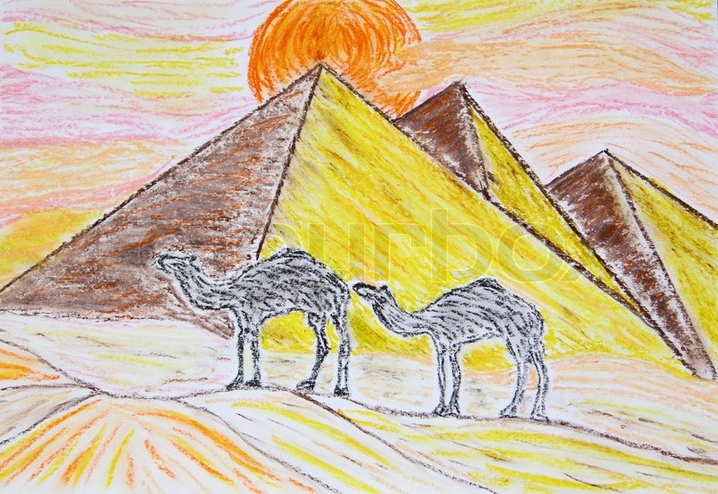 800x551 Two Camels Standing In Front Of The Pyramids And The Rising Sun