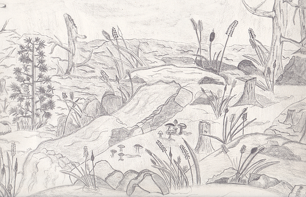600x387 River Scene Pencil Greeting Card For Sale By Laurie Gibson