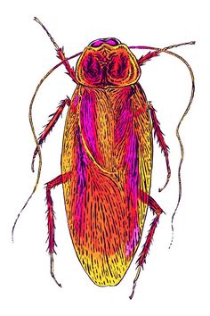 236x354 Mel Roach (Melphantastic On Tumblr) Illustration, Drawing