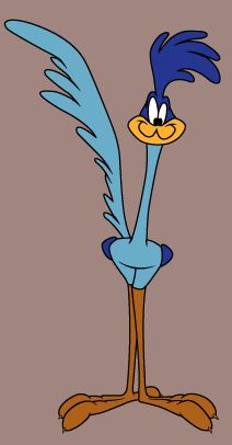 Road Runner Cartoon Drawing at GetDrawings | Free download