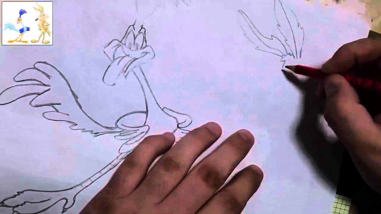 1280x720 How To Draw A Roadrunner Cartoon