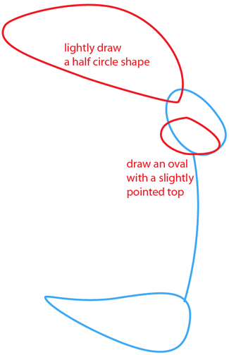 325x504 How To Draw Road Runner From Looney Tunes With Easy Step By Step