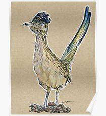 210x230 Roadrunner Drawing Posters Redbubble