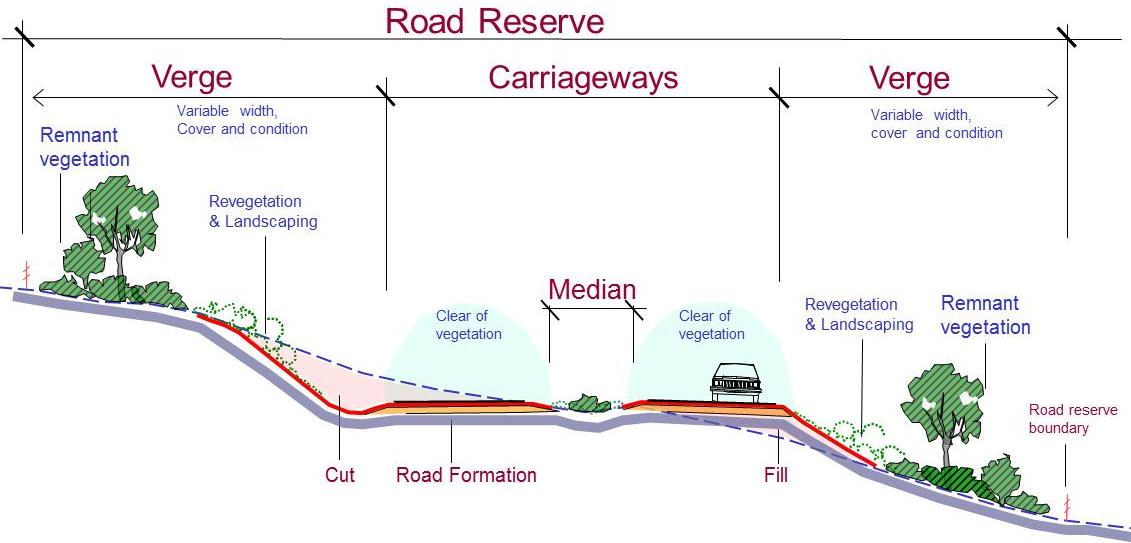 1131x543 Image Figure 1