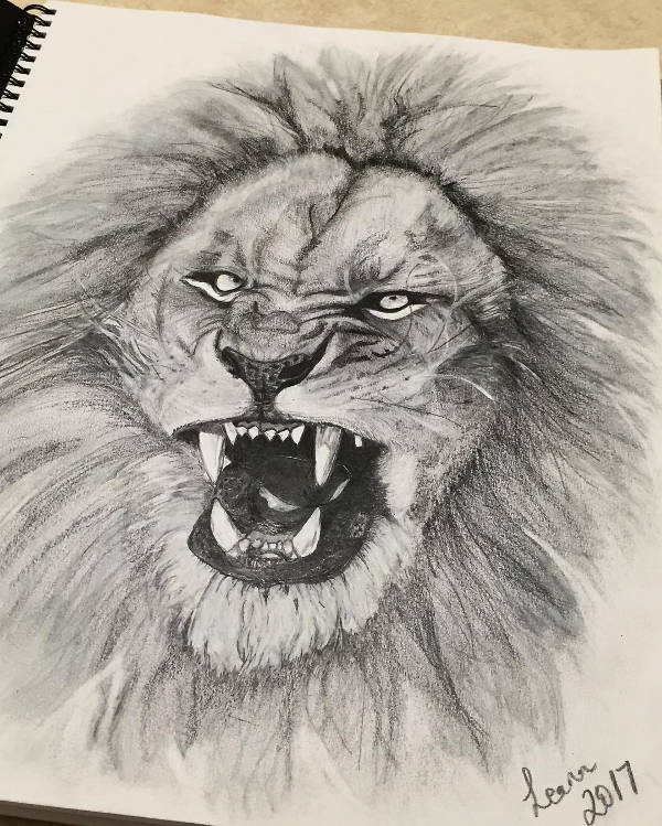 Roaring Lion Drawing at GetDrawings | Free download