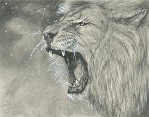 300x237 Roaring Lion Drawings Fine Art America