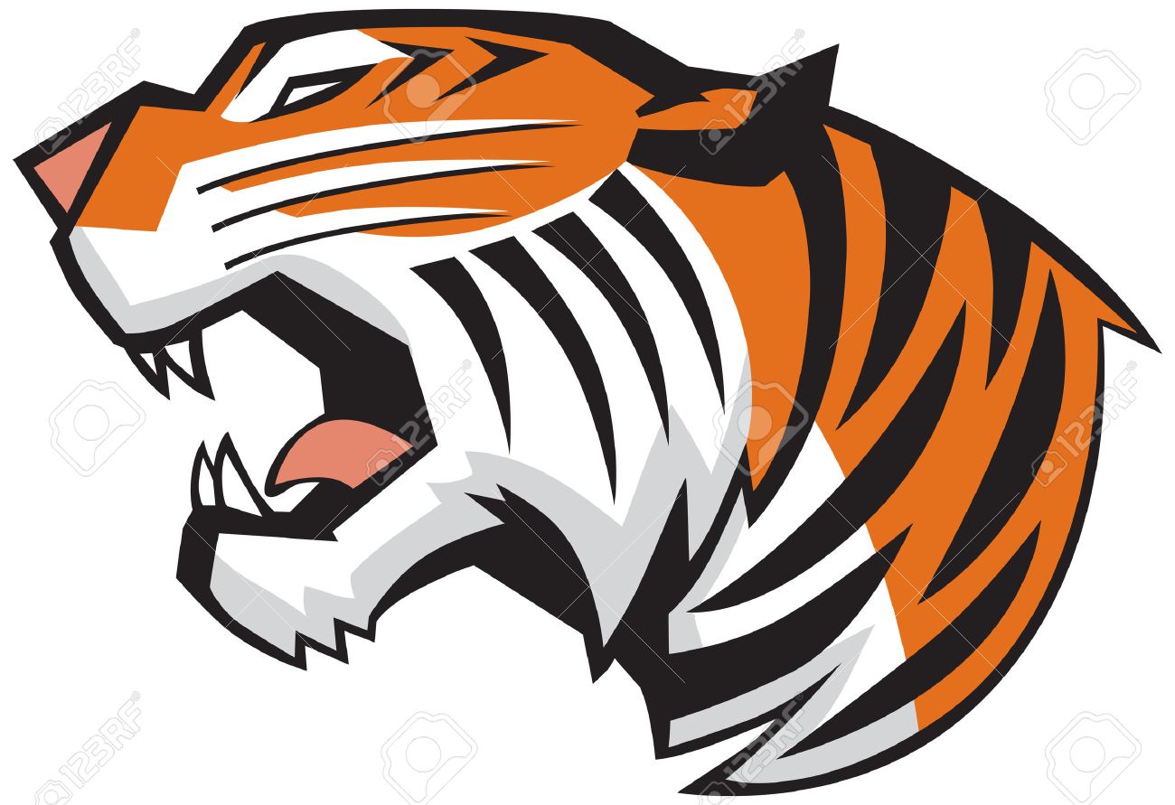 1300x891 Roaring Tiger Stock Photos. Royalty Free Business Images