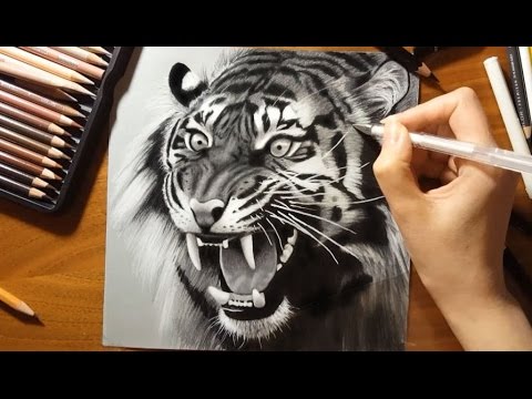 480x360 Speed Drawing A Roaring Tiger Jasmina Susak