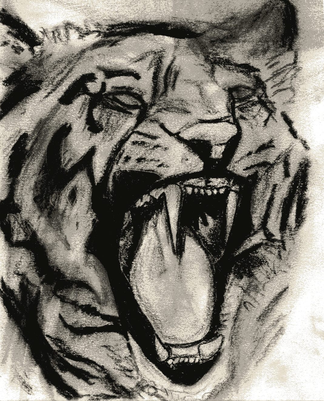 1069x1322 Tiger Drawing Artmkc