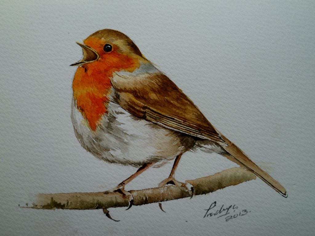 1024x768 Watercolour Robin
