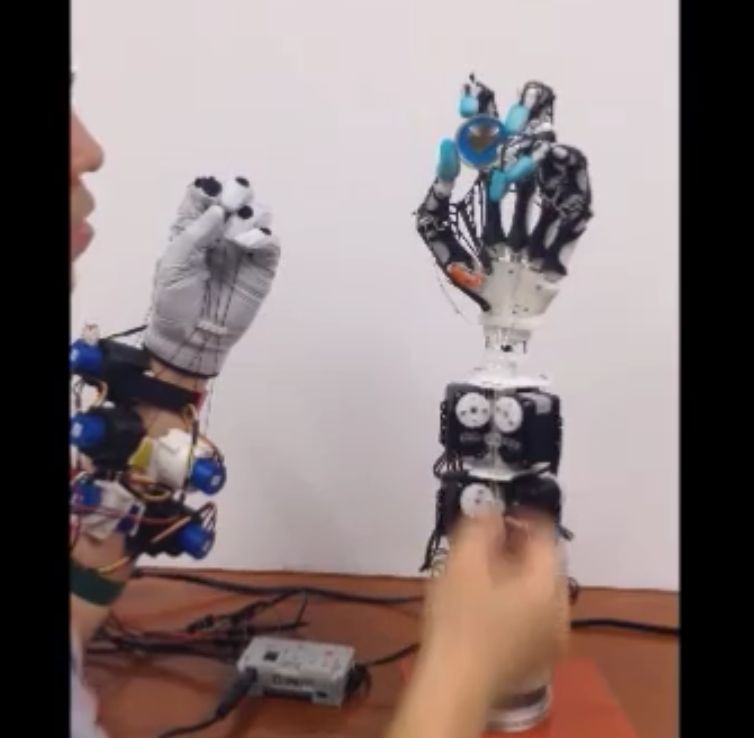 754x738 Hand Gets Up Close To Human Hand On Anatomical Level