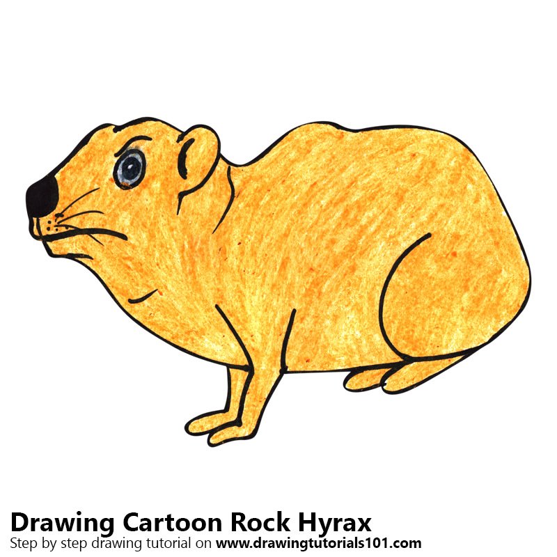 800x800 Learn How To Draw A Cartoon Rock Hyrax (Cartoon Animals) Step By