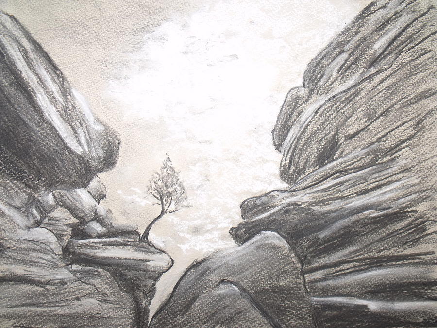 900x675 Brimham Rocks Drawing By Anne Oxley