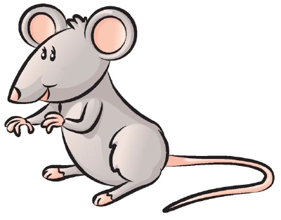 400x313 How To Draw A Mouse Howstuffworks