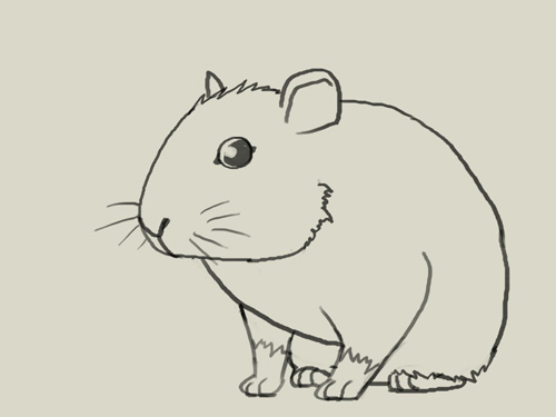 500x375 How To Draw Mouse