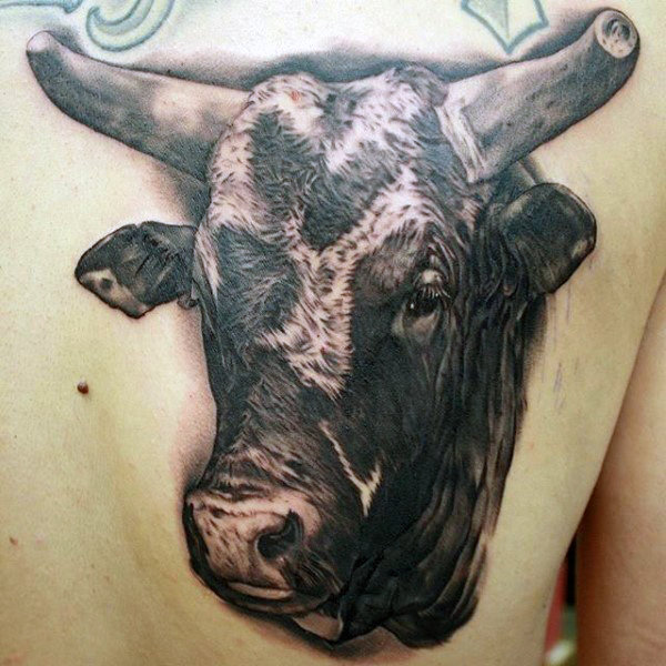 600x600 70 Bull Tattoos For Men