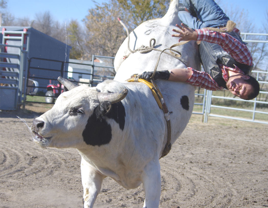 1050x816 Bucking Bulls Hynekart's Blog Page 5