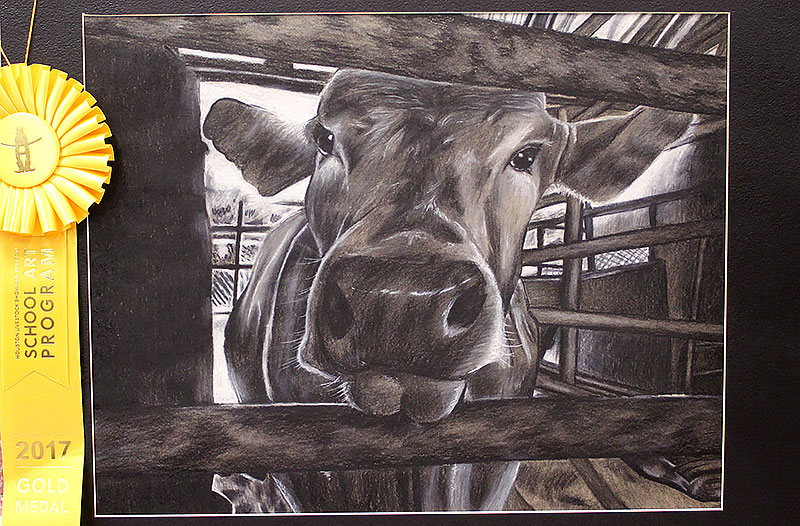 800x526 Houston Livestock Show Amp Rodeo Announces Aisd 2017 School Art