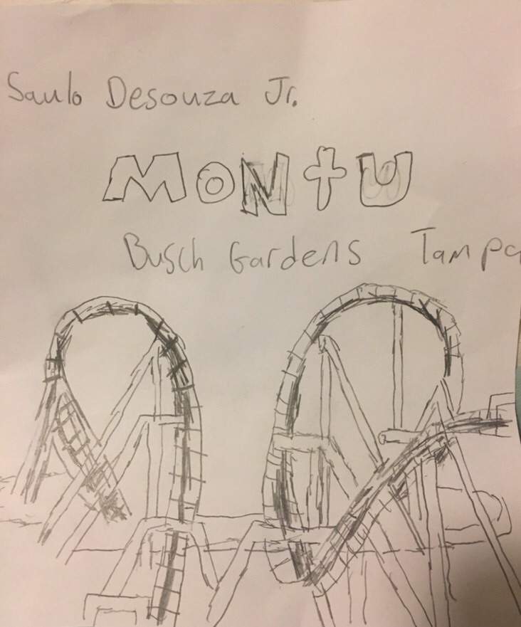 732x881 My Drawing Of Montu Rollercoaster Amino