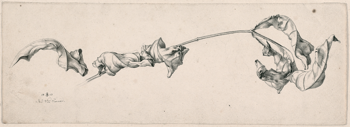 1200x437 Restituted German Romantic Drawing For Sale