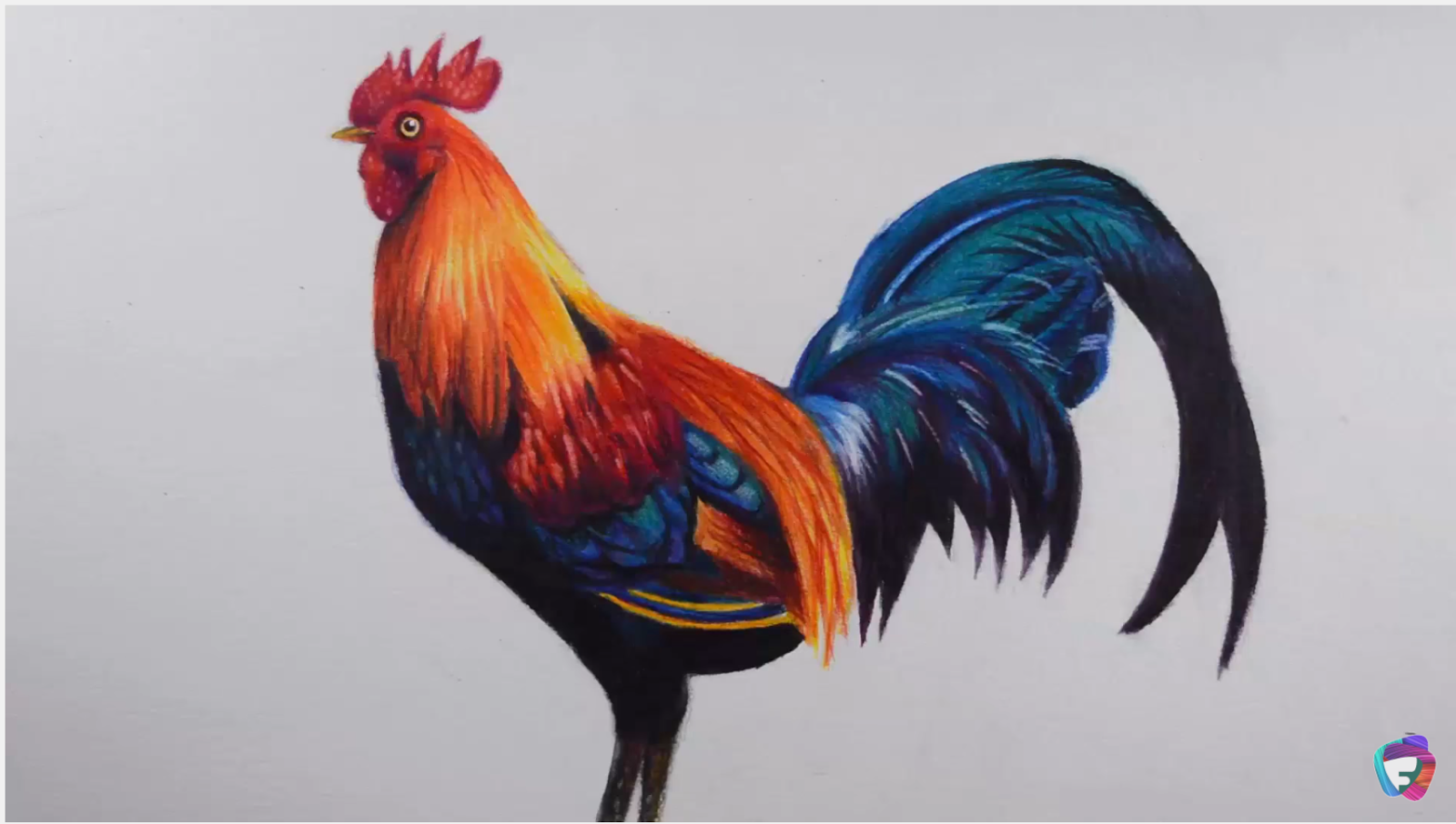 1600x906 How To Draw A Colorful Bird (Rooster)