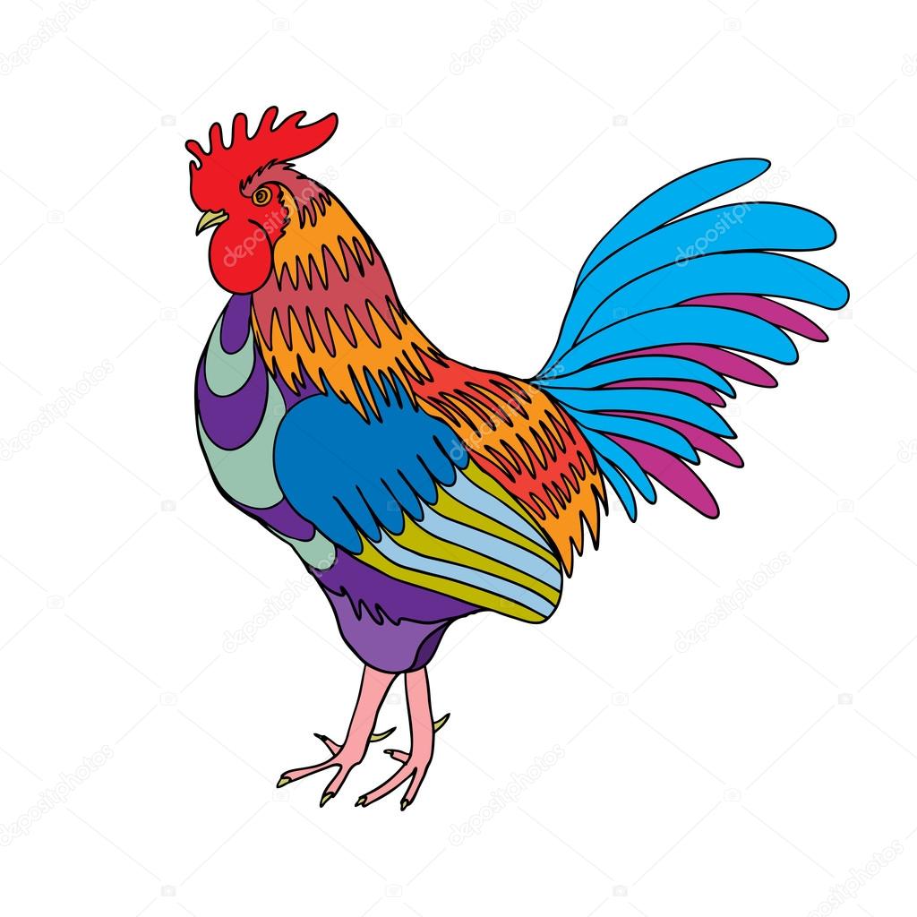 1024x1024 Rooster In Color, Hand Drawing Cock On White. Stock Vector