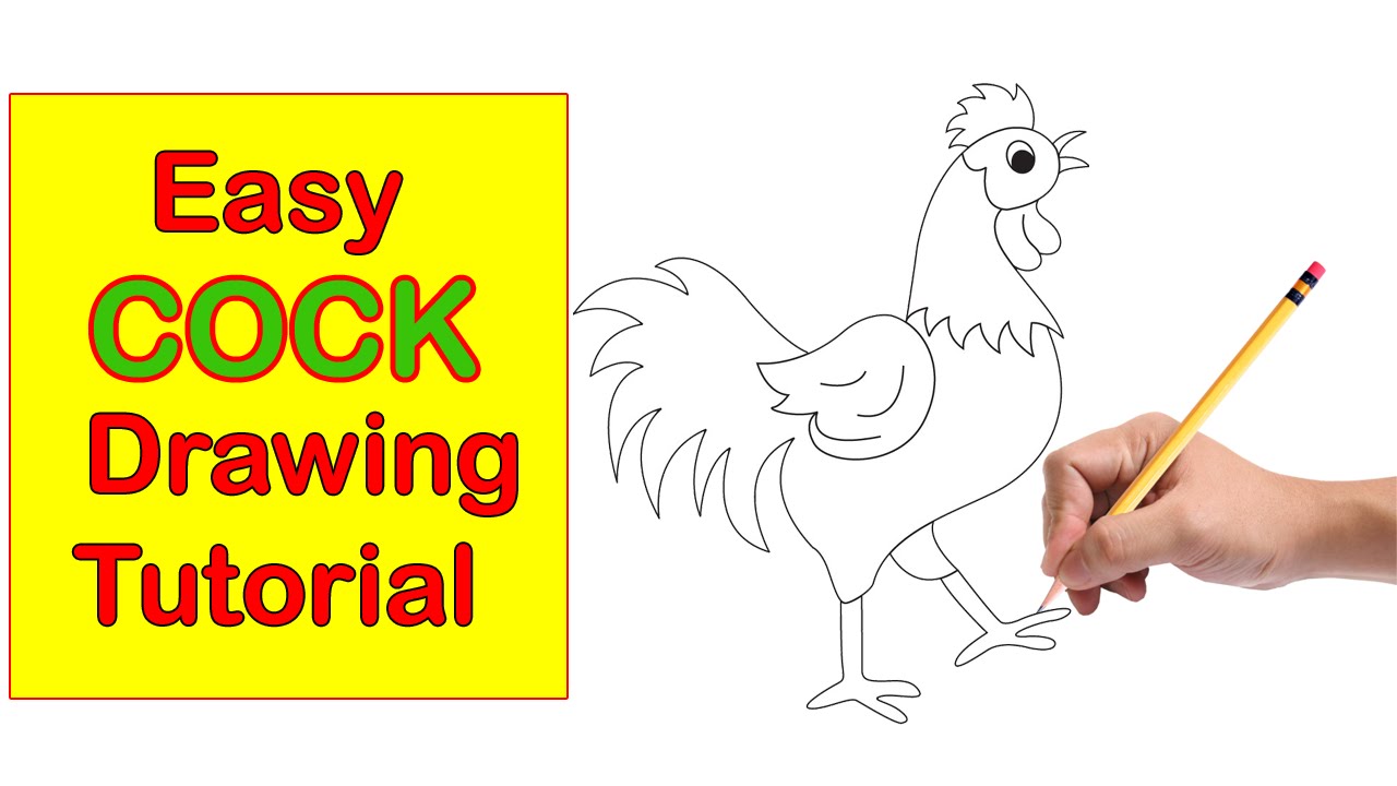 1280x720 Rooster Drawing Tutorial Cock Drawing Chicken Drawing Easy