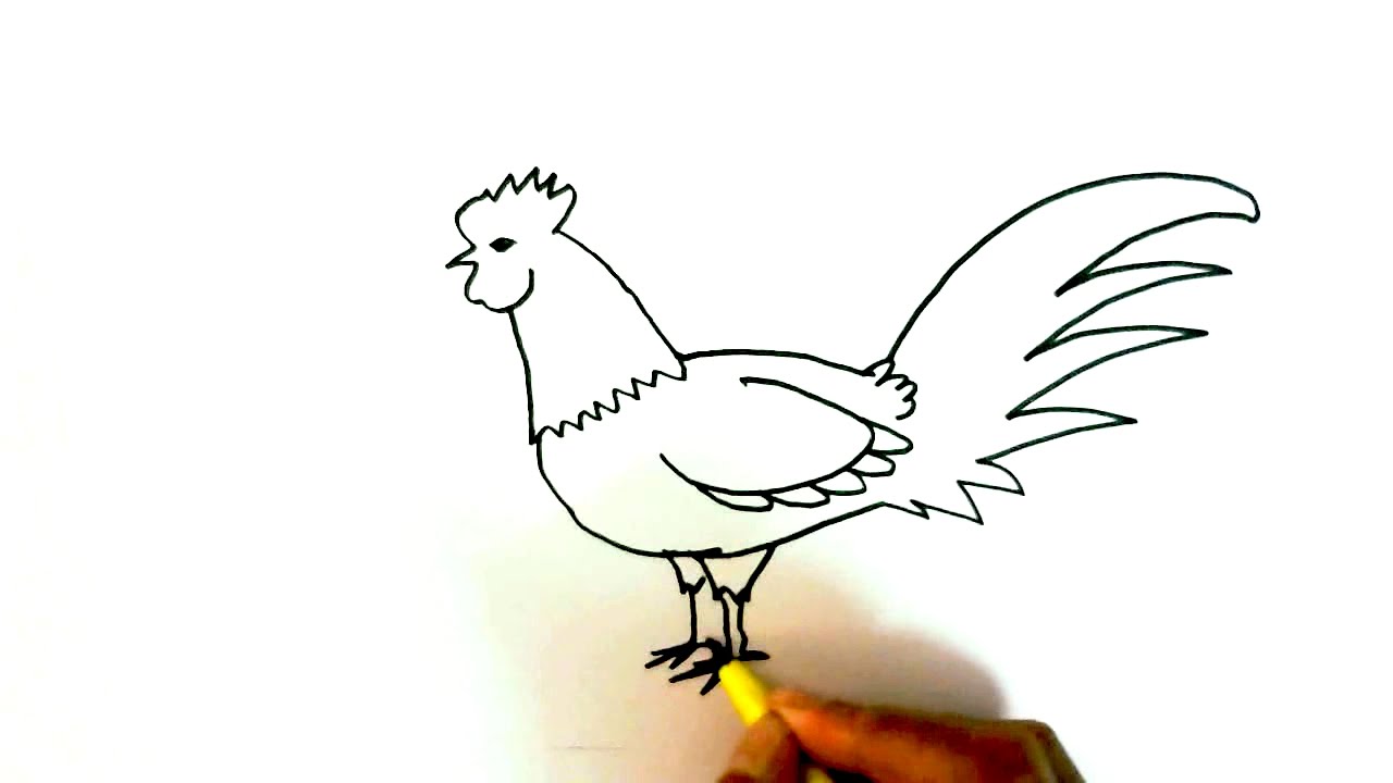 1280x720 How To Draw A Rooster Or Chicken