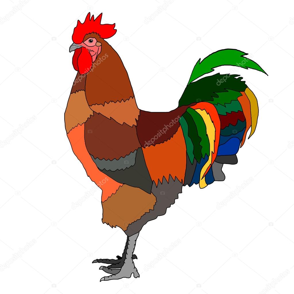 1024x1024 Colorful Rooster Drawing Stock Photo Desertsun
