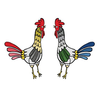 416x416 Hen Drawing Rooster, Isolated Premium Clipart