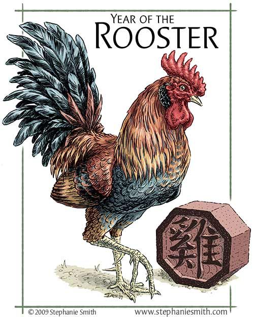 500x623 Image Result For Rooster Drawings Design Ideas