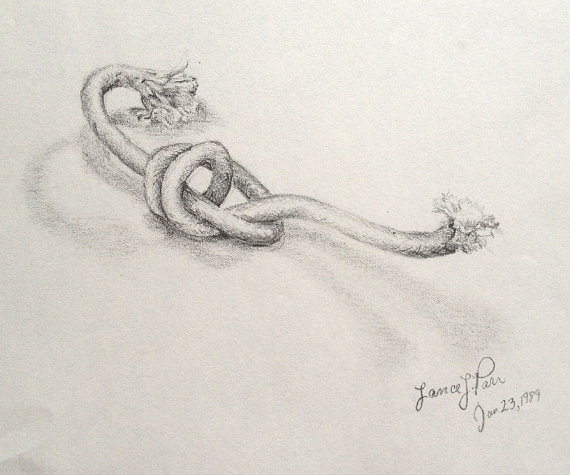 570x475 Pencil Drawing Of A Knotted Rope Sketches, Drawings And Art Sketches