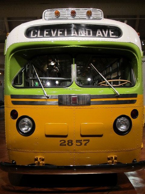 480x640 Pin By Robert Mckenzie On Rosa