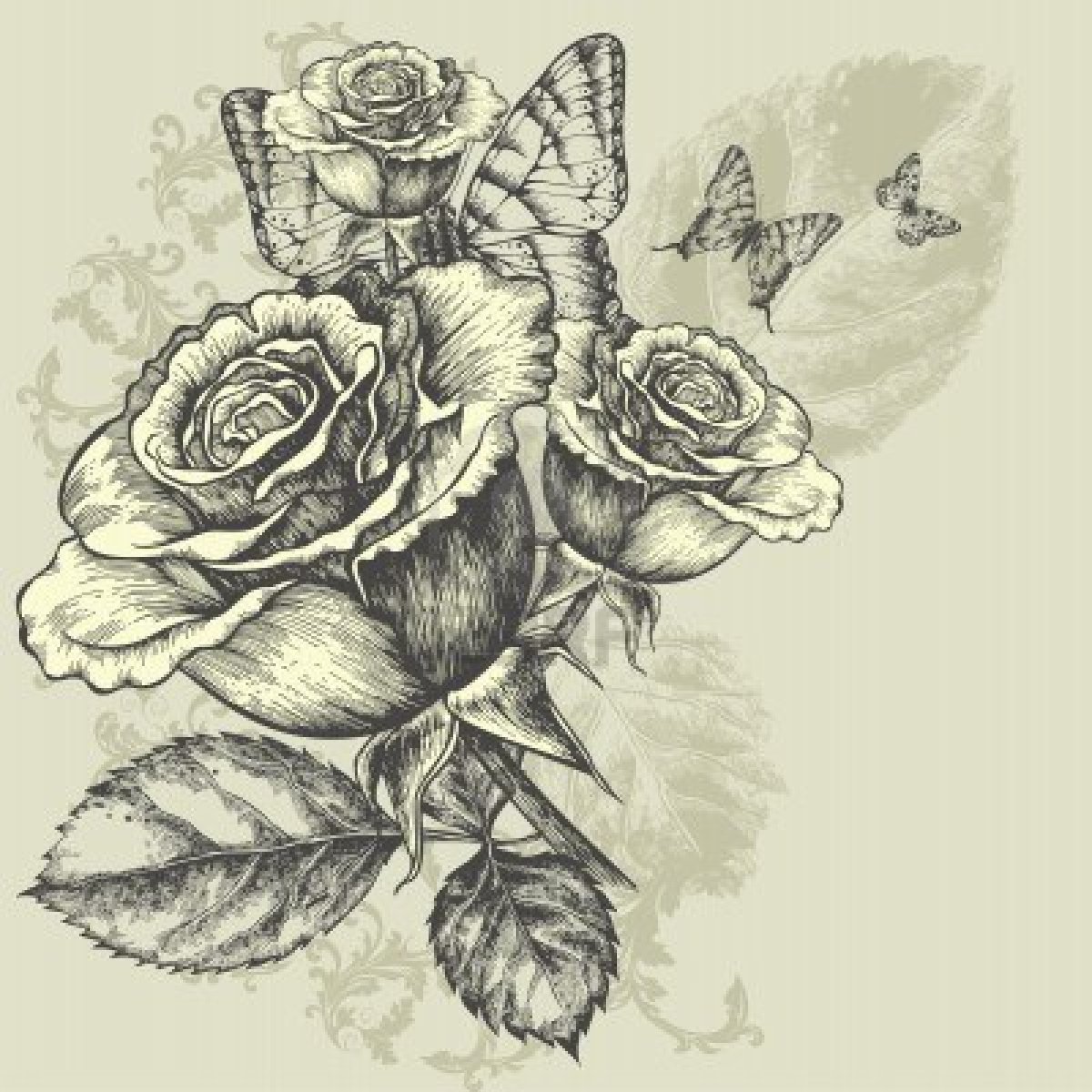 1200x1200 Drawings Of Roses Is My Favorite Roses Drawings