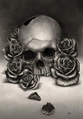 334x480 Skull And Roses Drawing.