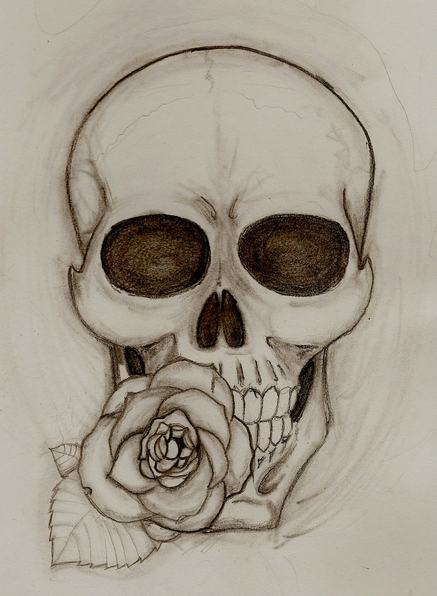 900x1227 Skulls And Roses Drawings Skull And Rose Tattoo Colourjwellwood