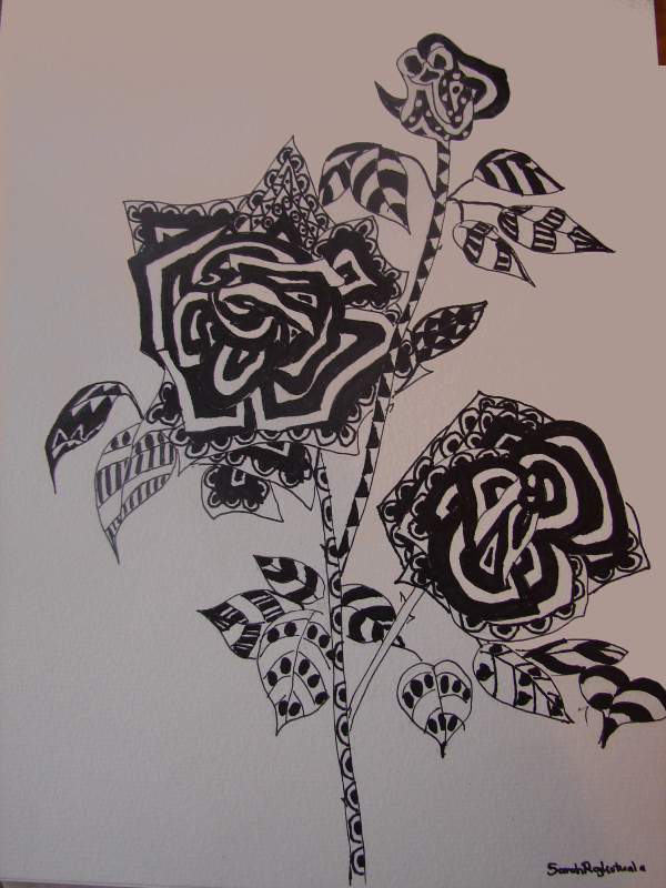 600x800 Drawings Of Roses