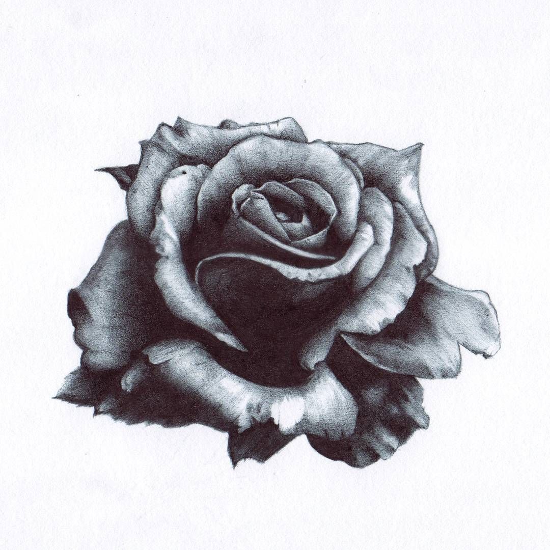 1080x1080 Rose.
